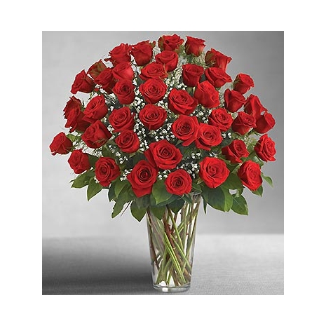 Send 2 dozens red rose to Philippines
